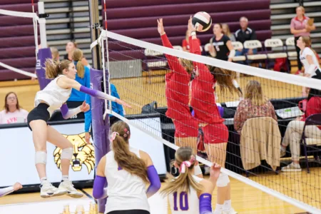 Webster City splits in home volleyball triangular